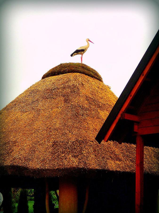 Zagroda Villa Sarbinowo Buitenkant foto